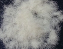 上海各类型喷胶棉，仿丝绵，珍珠棉，杜邦棉-仿杜邦棉